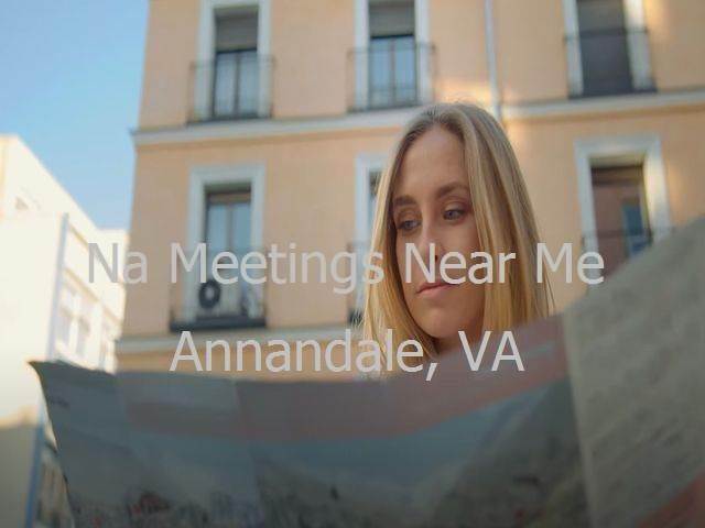 NA Meetings in Annandale, VA