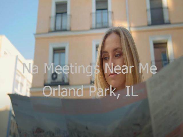 NA Meetings in Orland Park, IL