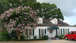 ptrangleton